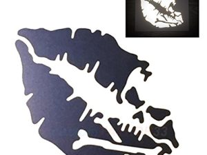 customTAYLOR33 High Intensity Reflective Vinyl Death Kiss Skull Crossbones Lips Decal Bumper Sticker - Cars