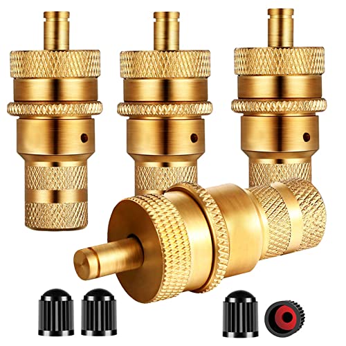 Dsycar 4Pcs Tire Deflator Kit Universal Adjustable Off The Road Accessories Kit Automatic Tire Deflators 6-30 PSI Adjustable Dsycar 4Pcs Tire Deflator Kit Universal Adjustable Off The Road Accessories Kit Automatic Tire Deflators 6-30 PSI Adjustable