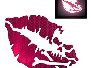 customTAYLOR33 High Intensity Reflective Vinyl Death Kiss Skull Crossbones Lips Decal Bumper Sticker - Cars